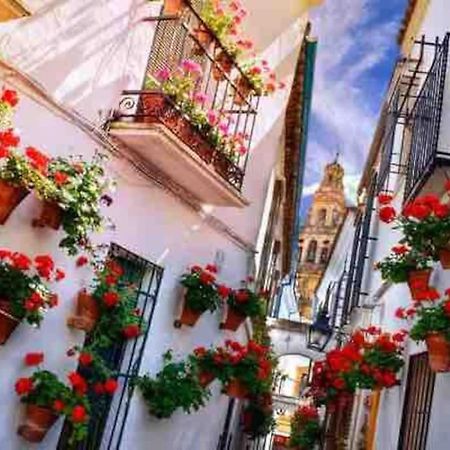 Apartamento Con Jardin Y Piscina En Kordoba Bagian luar foto